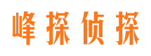 桃江捉小三公司